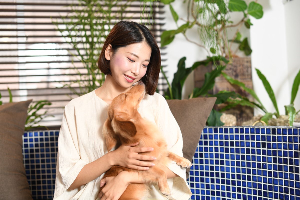 愛犬の『愛情度』を測る方法とは？大好きな飼い主にみせる行動や懐かれやすい人の特徴まで