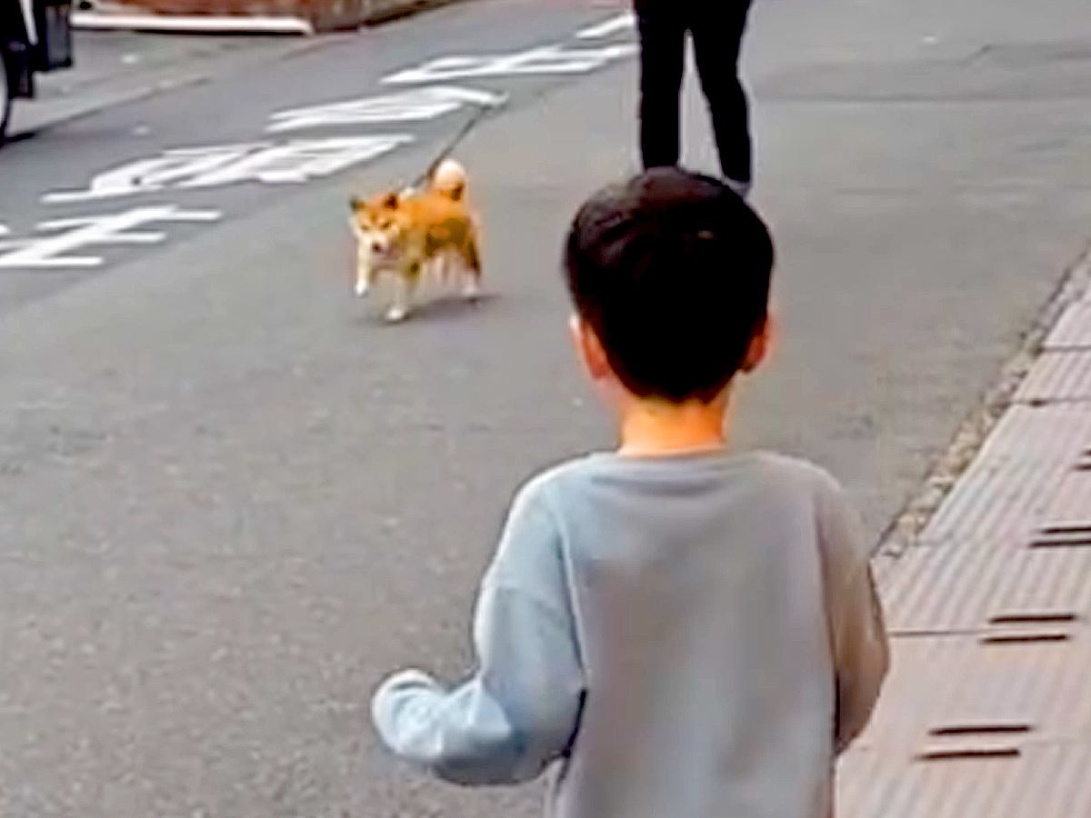 火災で離れ離れになった犬→３日ぶりの再会を果たした結果…涙が溢れる『あまりにも尊い瞬間』に「本当によかった」「泣けてきた」と感動の声