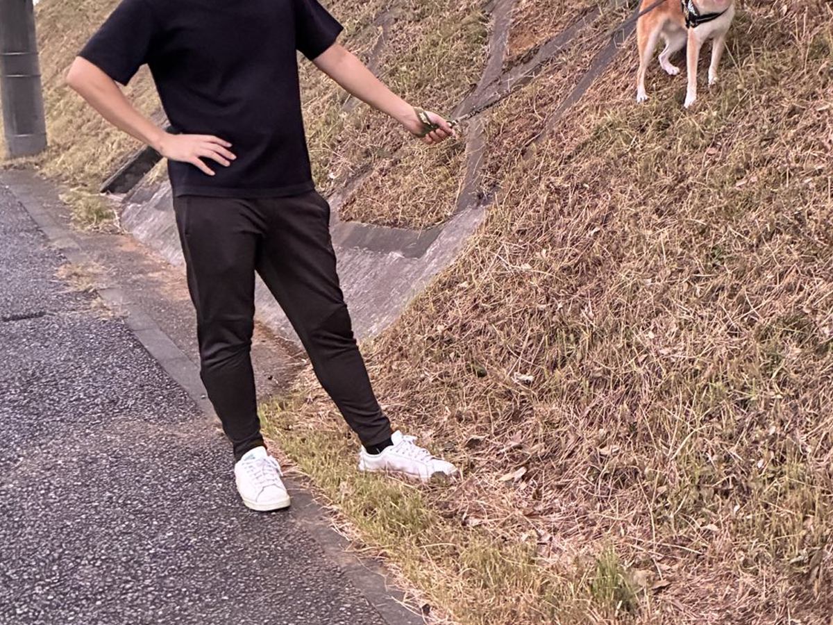 犬の散歩中に『大きい車が通った』結果→思った以上にビビってしまい…まさかの行動に2万いいね「ヤギみたいｗｗ」「危機管理能力が高め」