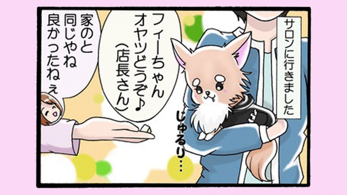 かわうそちわわ。（59） ぶりっ子フィーユ