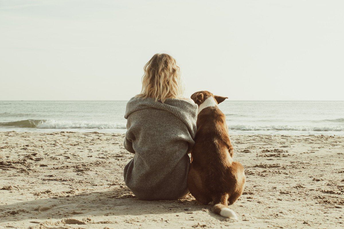 犬がもたらす幸せホルモン『オキシトシン』とは？愛犬と触れ合うことで得られる効果まで