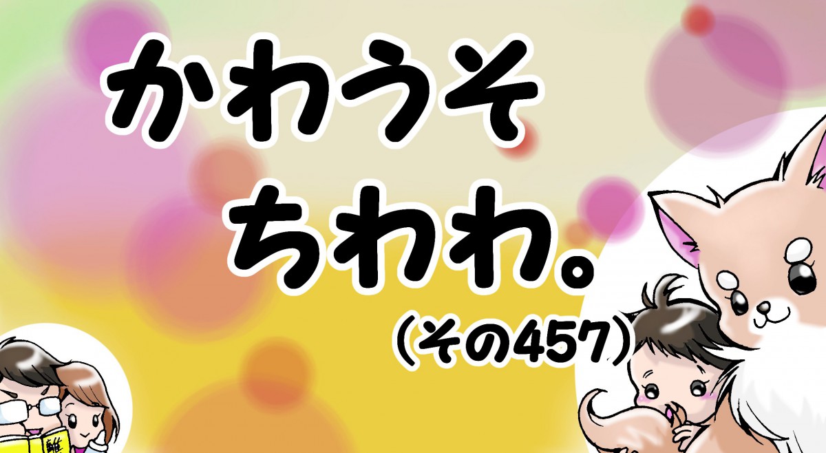 かわうそちわわ。【その457】「フィーちゃんはリビングで爆睡」