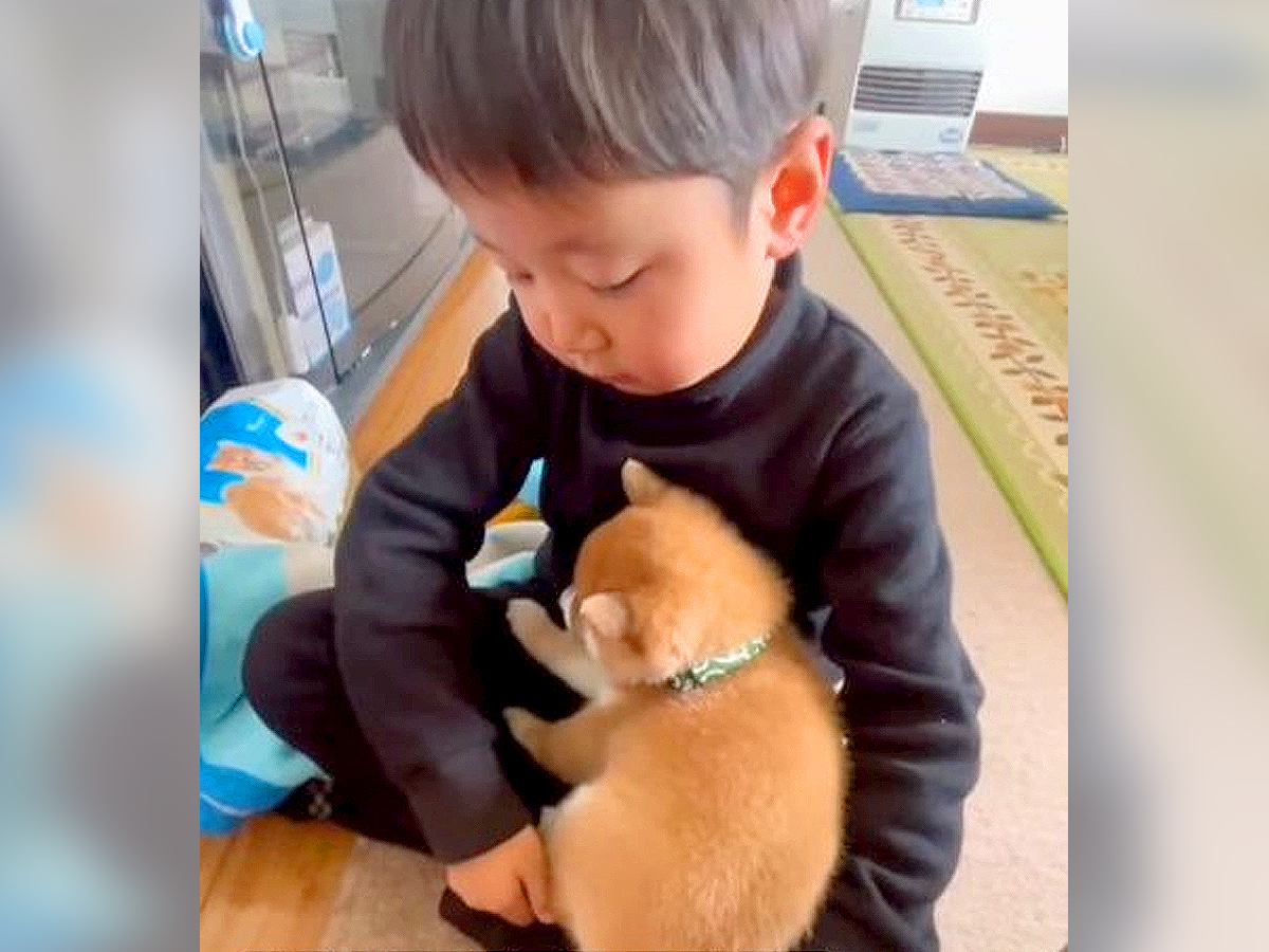 小さな男の子が赤ちゃん犬にした『世界一やさしいトントン』が106万再生を突破 「泣けてきた」「両方とも天使」平和すぎる光景に感動の声