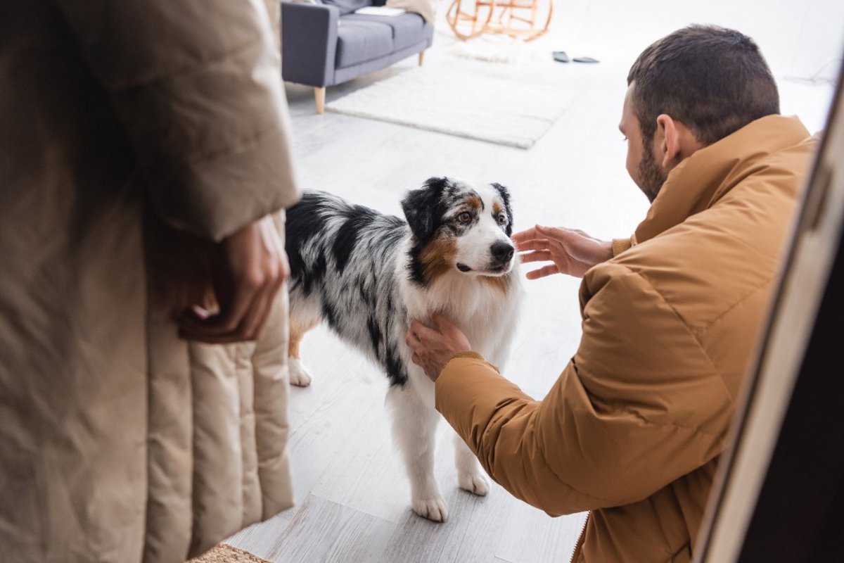 犬を『留守番できない子』にしてしまう飼い主の絶対NG行動3つ！日頃何気なくやってしまっていないか再確認して