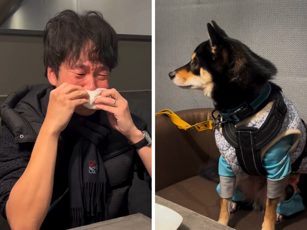 『犬の絵本』を読んで大号泣する夫→隣に座っていた犬が…悶絶必至の『尊すぎる光景』が360万再生「どうしたの？って顔が愛おしい」「素敵」