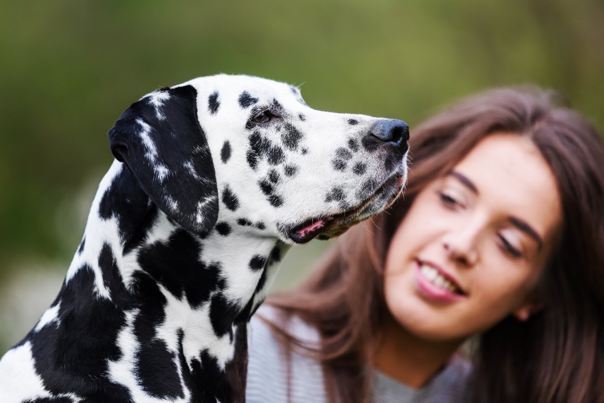 『顔がかっこいい犬種』5選！イケメンすぎるワンコの性格、実は甘えん坊が多いんです♡