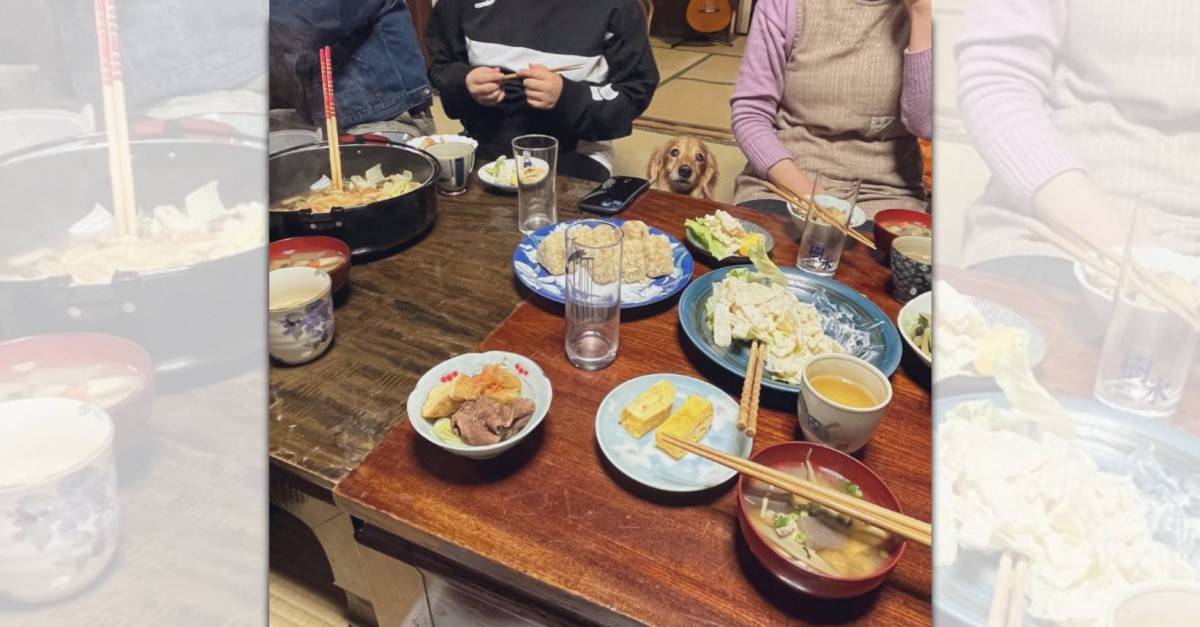 お呼ばれされたい～！可愛いワンちゃんと一緒に楽しむ飲み会が話題♪