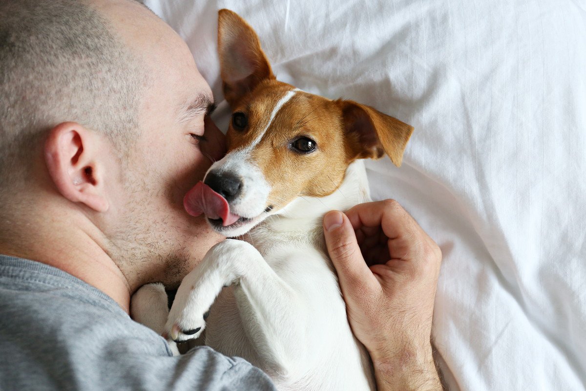 犬は「飼い主の休日」を把握してる？どうやって理解してるの？