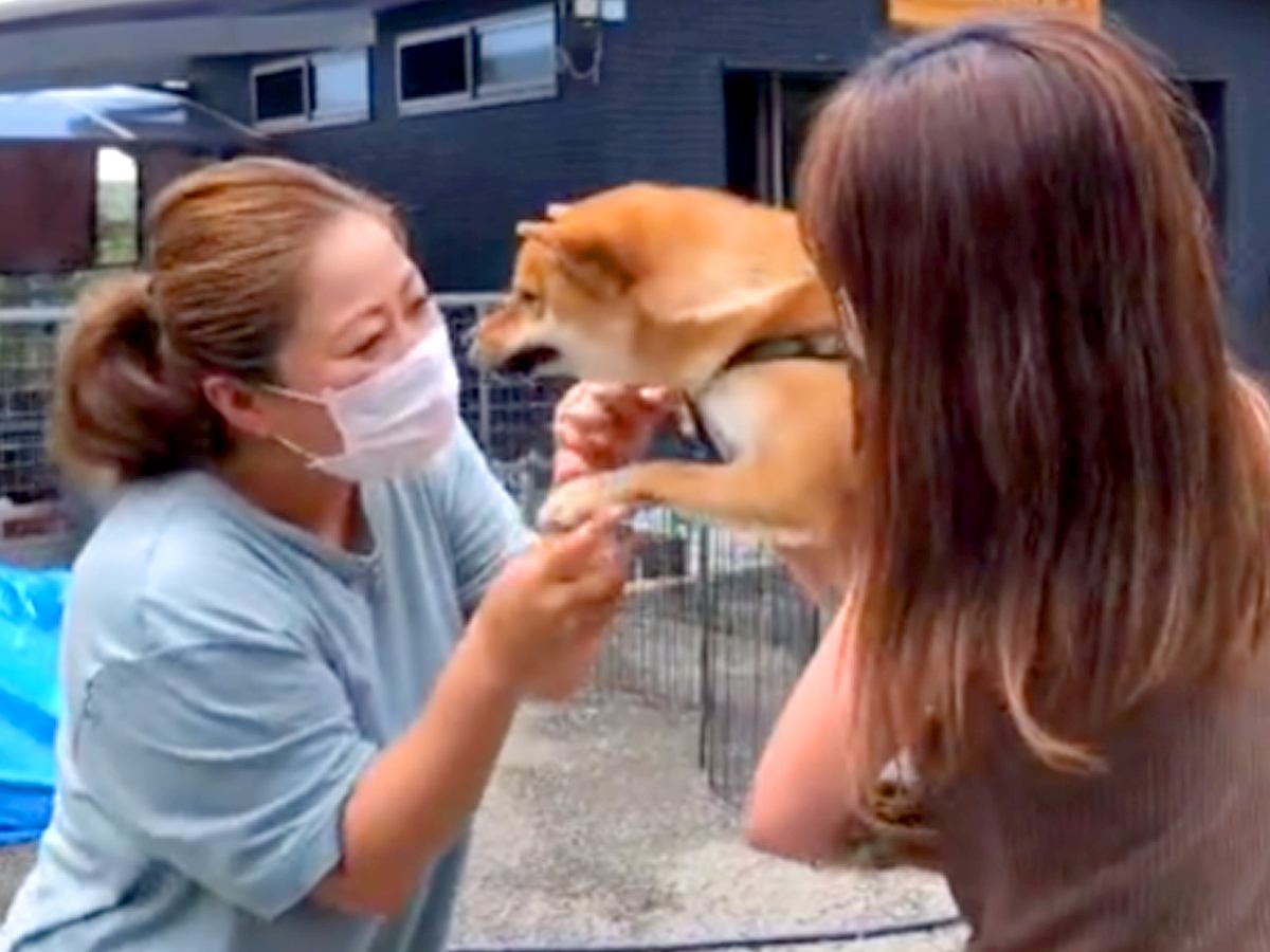 1年半ぶりに『生まれ故郷』に帰った結果、犬が…育ての親との再会で見せた『涙腺崩壊する光景』が182万再生「ちゃんと覚えてる」「泣いた」