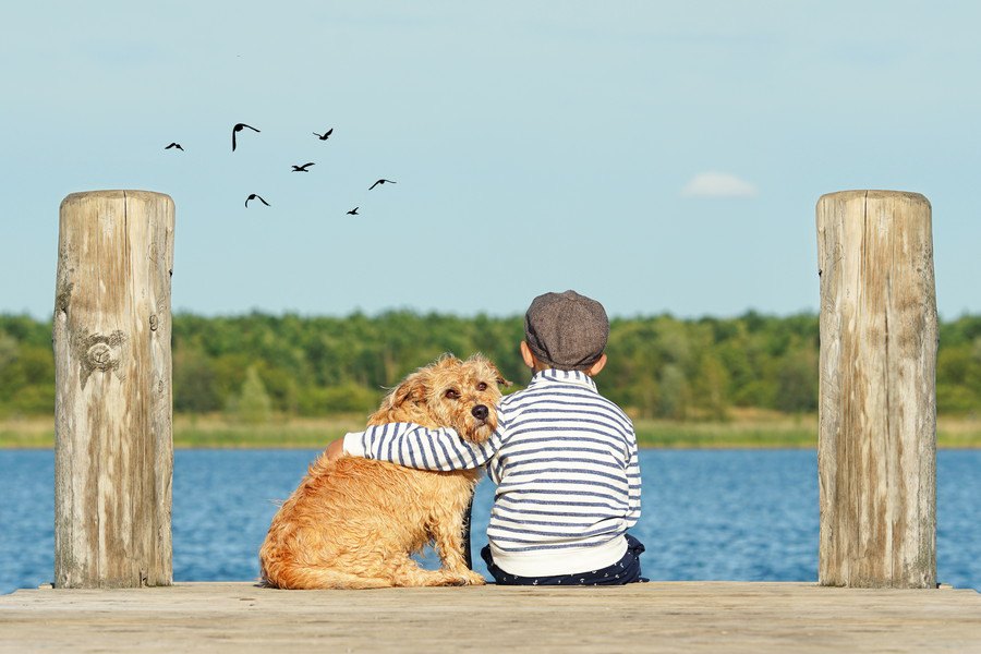 犬を飼っていないとわからない『幸せなこと』５選