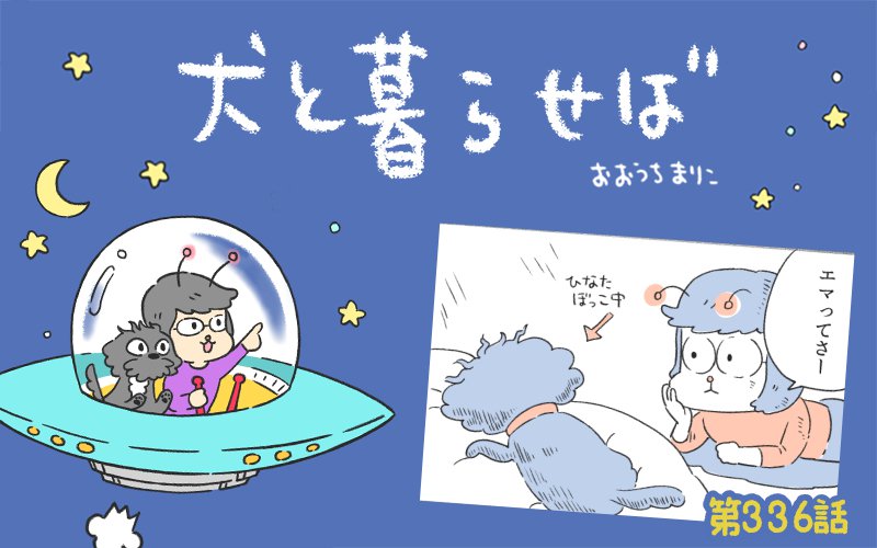 犬と暮らせば【第336話】「まつ毛」