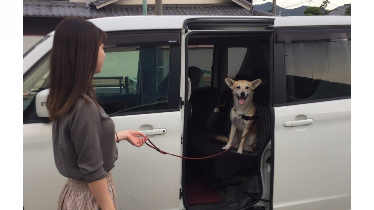 「病院には入らないよ！」最高の笑顔で拒否し続ける犬さんが話題