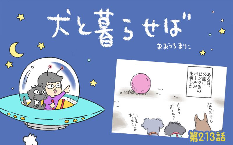 犬と暮らせば【第213話】「ピンクをねらえ！」