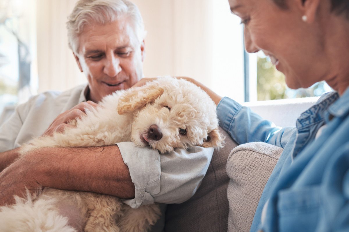 「犬に甘えられやすい人」の特徴6つ！すぐに仲良くなる理由や甘えてもらうための秘訣は？