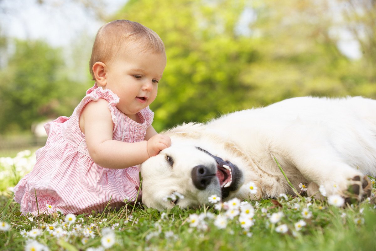 なぜ犬は『赤ちゃん』に対して優しいのか？考えられる5つの理由とは