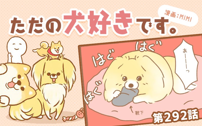 ただの犬好きです。【第292話】「ひとつあったら」