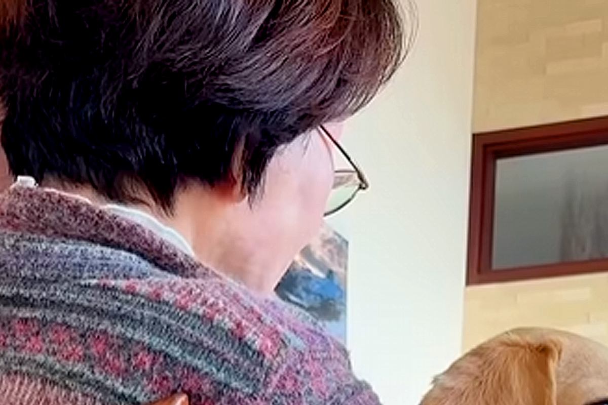 『犬はもういい。またいなくなるのが怖い。』と反対していたおばあちゃん…涙あふれる『現在までの軌跡』に反響「わかる…」「出会えて良かった」