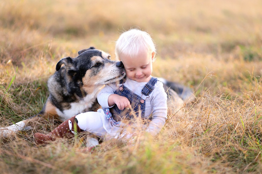 犬がする優しい行動７選