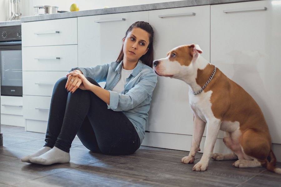 愛犬にイライラしてしまう…どう対処すべき？