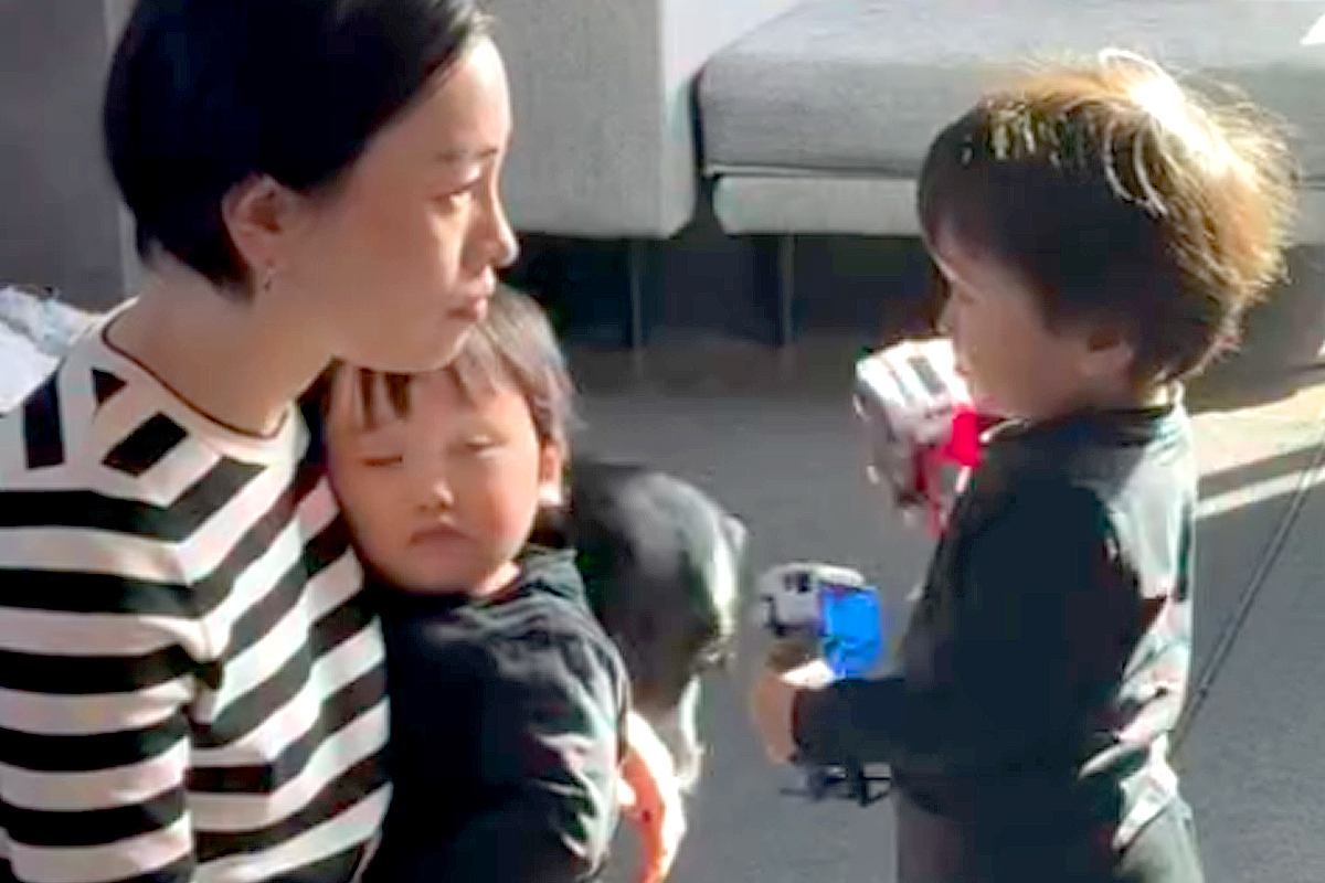 母親に叱られる男の子→状況を察した『大型犬』が大急ぎで近づいて…犬とは思えない『まさかの光景』が161万再生「素晴らしい」「護衛騎士」