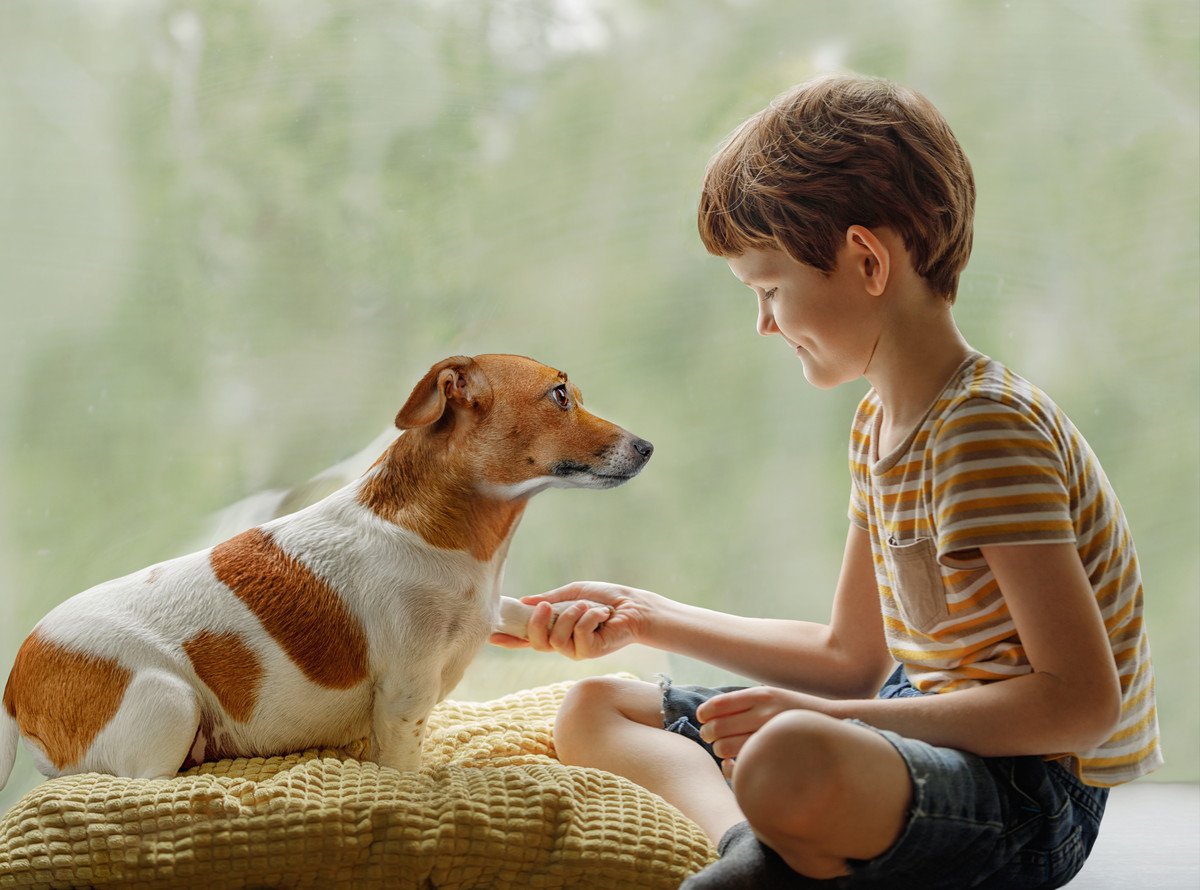 犬が見せる『家族想いな行動』5選♡犬は飼い主が悲しんでいることも理解している