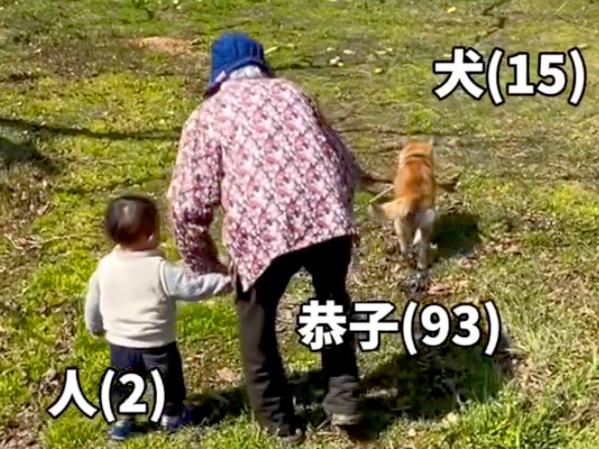 93歳のおばあちゃんが『犬とひ孫を同時に散歩した』結果…まさかの『すべてを失う光景』が193万再生「全員マイペースで草」「ほっこりｗ」