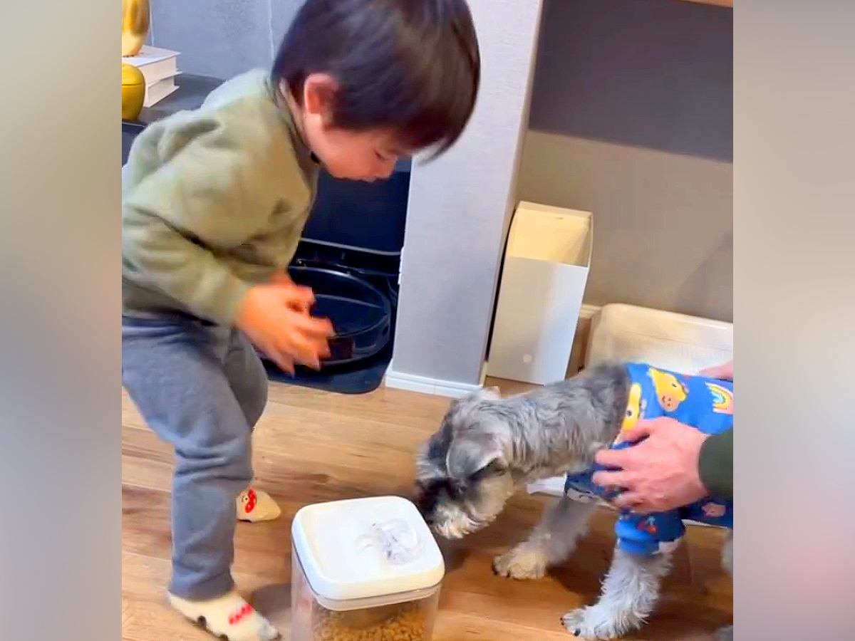 ご飯の前におやつを食べてしまった犬→すると男の子が…『怒りながらもご飯を用意してあげる光景』が尊いと5万再生「可愛すぎ」「しっかり者」