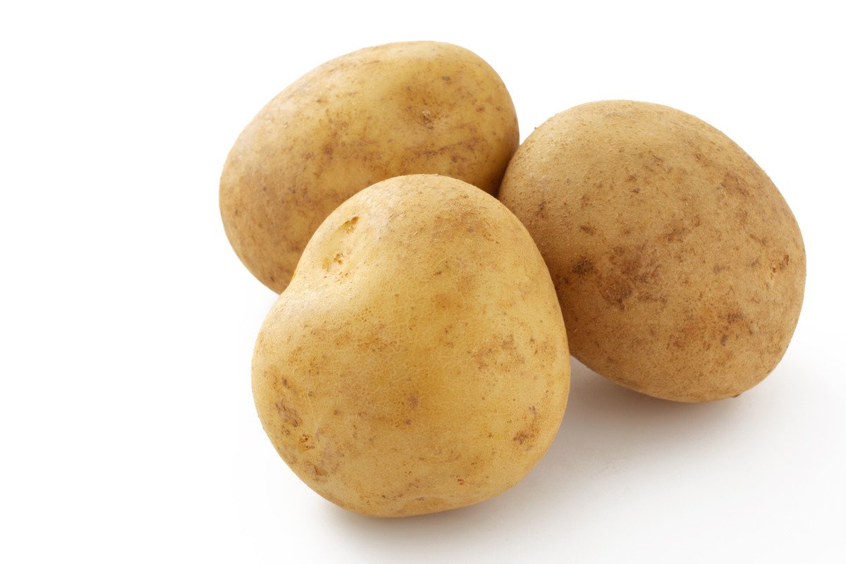 犬は『じゃがいも』を食べても大丈夫？与える際の絶対NG行為や注意点まで