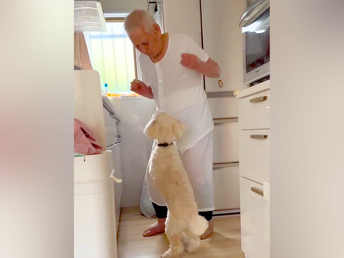 犬が好きじゃない『97歳のおじいちゃん』→キッチンで14歳の老犬と…思わず微笑んでしまう『尊い光景』が話題　ぎこちないやり取りにほっこり