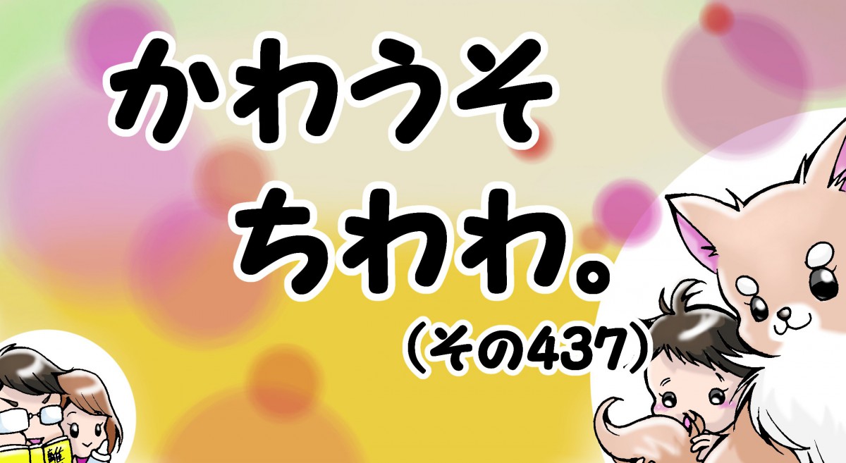 かわうそちわわ。【その437】「１３歳も元気に楽しく過ごそう！」