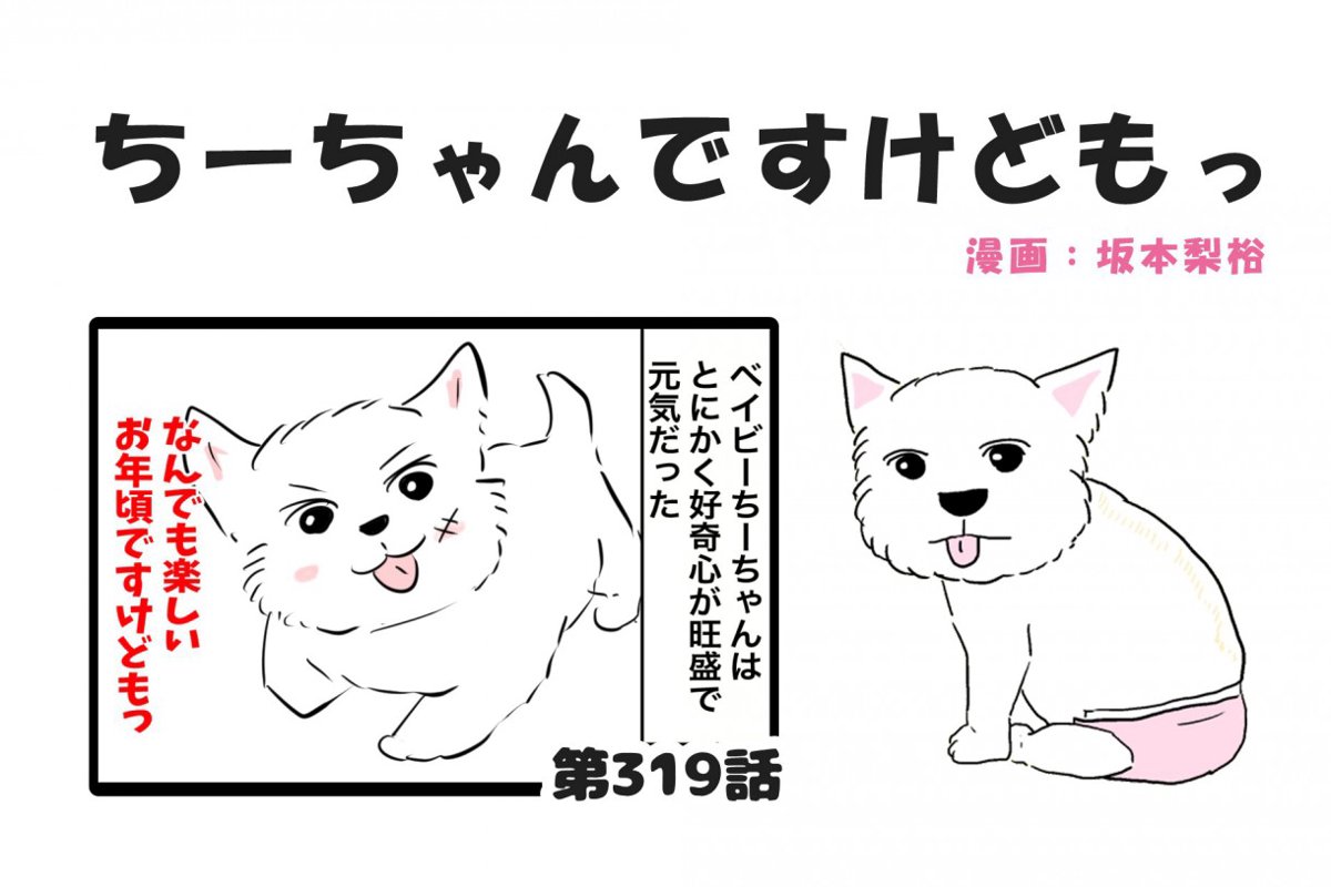 ちーちゃんですけどもっ【第319話】「違う種族」