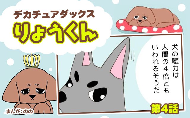 デカチュアダックスりょうくん【第4話】「犬の聴覚」