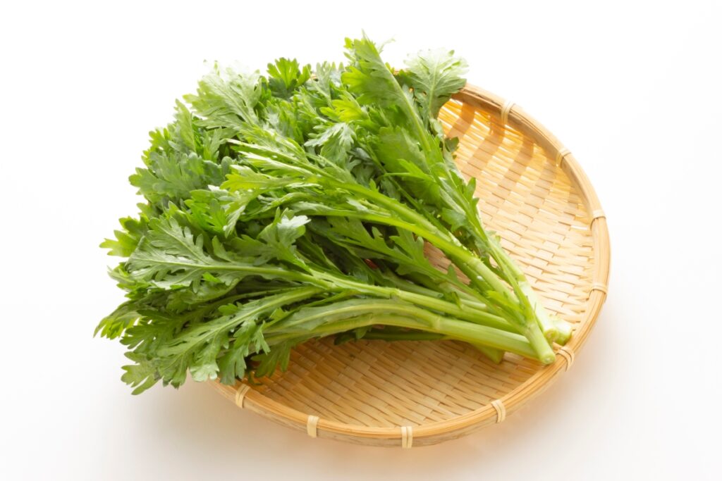 【獣医師監修】犬に春菊を与えても大丈夫？与える量の目安と栄養成分と注意点を解説