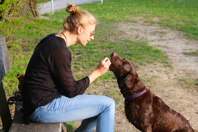 高齢者でもペットを飼いたい！整いつつある年配者が犬を迎える仕組みについて