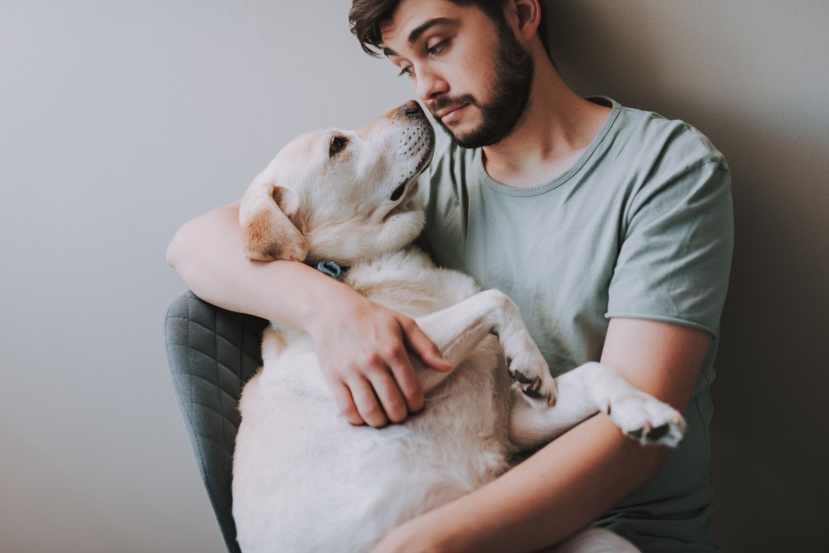 犬の飼い主が理解してあげるべき『犬にとってのイヤな行動』4つ