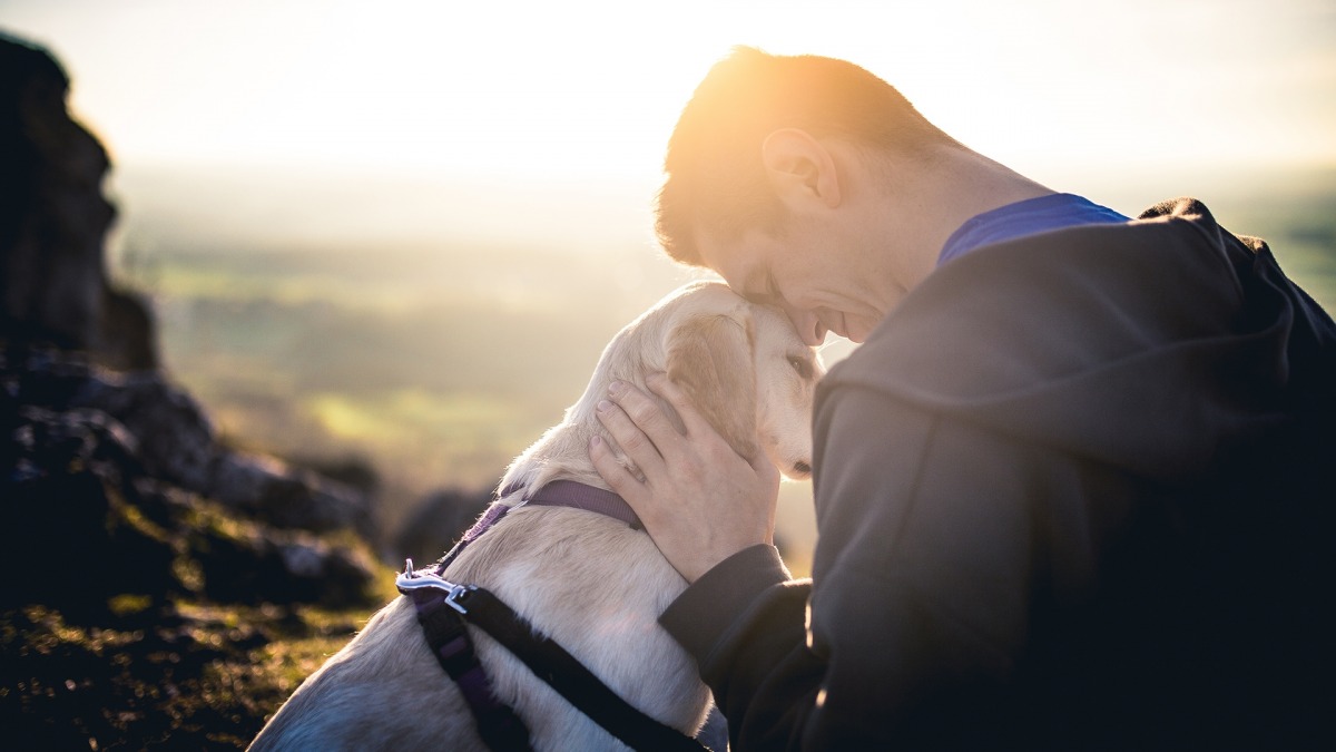 本当のところ、犬は人間の事をどう思っているのか？