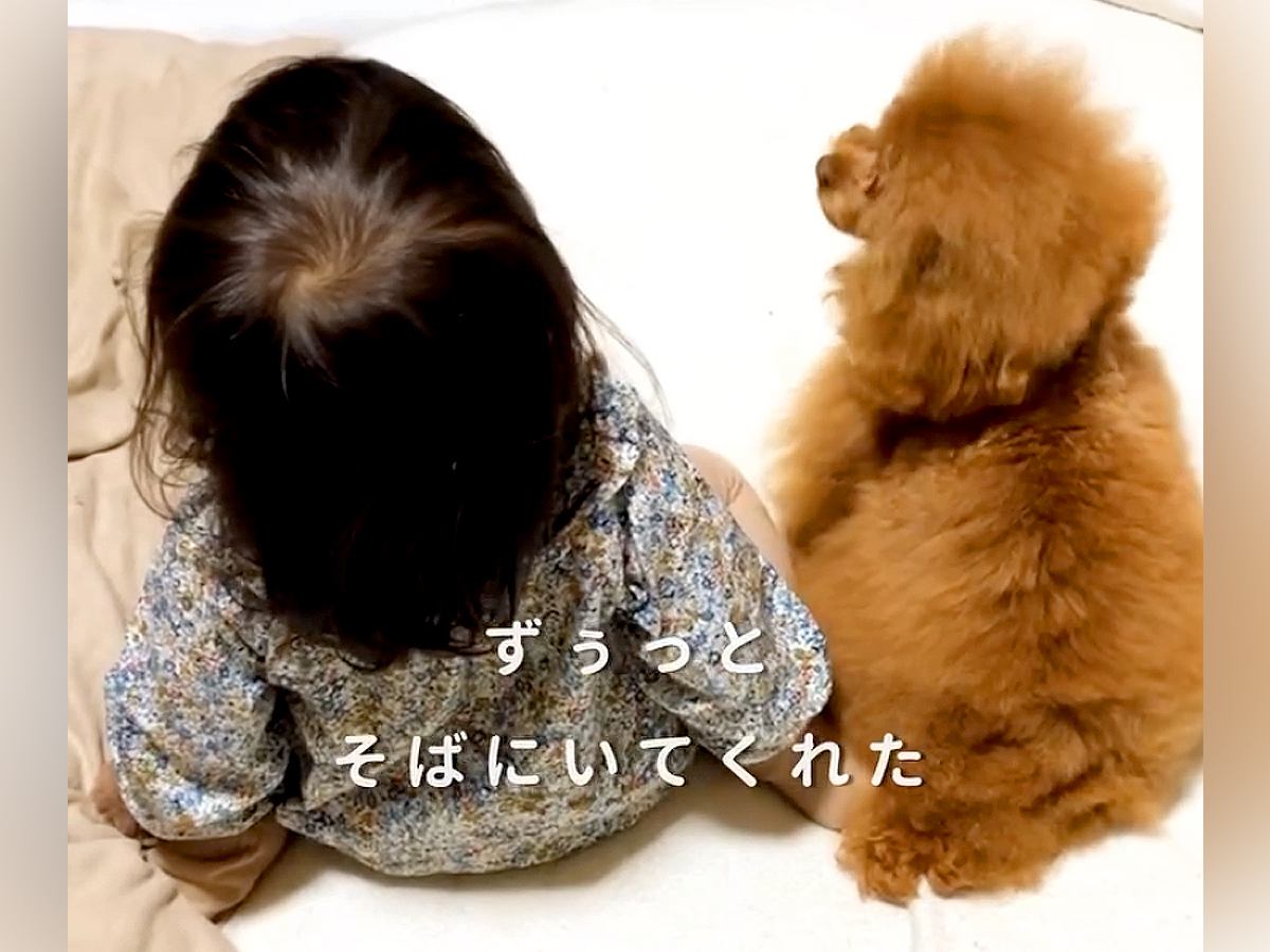 ４年間『女の子の幼稚園生活』を見守り続けた犬…思わず涙する『小さなお母さんのような光景』が21万再生「泣けてきた」「素敵すぎる」と感動
