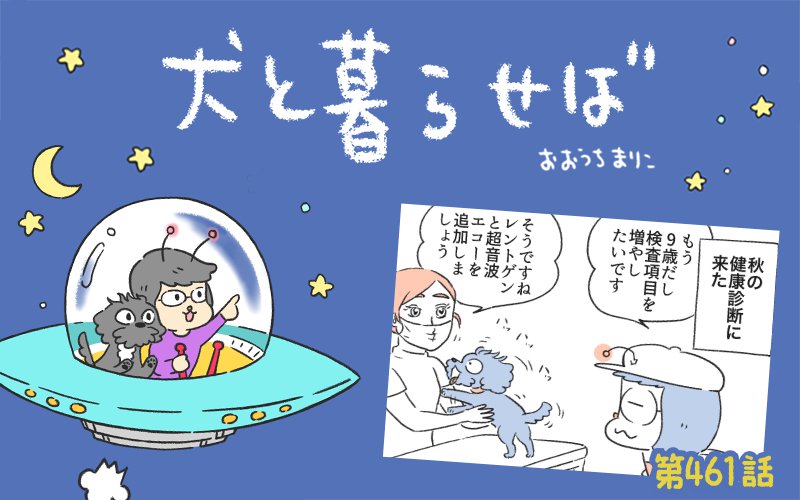 犬と暮らせば【第461話】「9年目の真実」