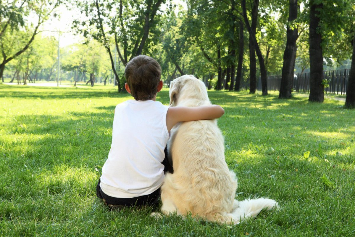 犬が「子どもの免疫」を育てるってホント？喘息リスクとの関係まで解説【獣医師執筆】