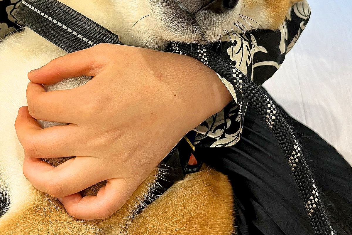ドッグランでたくさん走った犬→疲れて眠ってしまい…子供のような『大満足の寝顔』が尊すぎると20万いいね「いい夢見てそう」「本当に幸せだ」