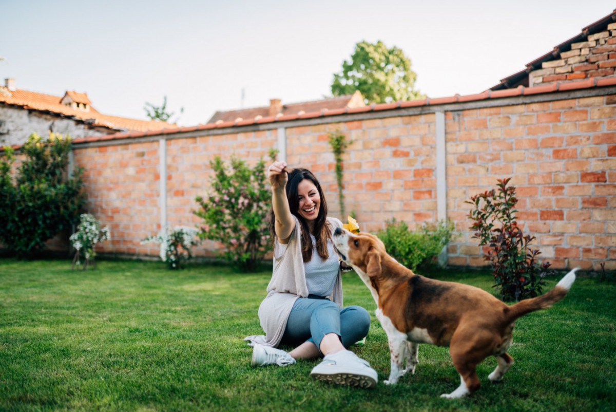 愛犬と遊ぶときに飼い主がやってはいけない『絶対NG行為』5選