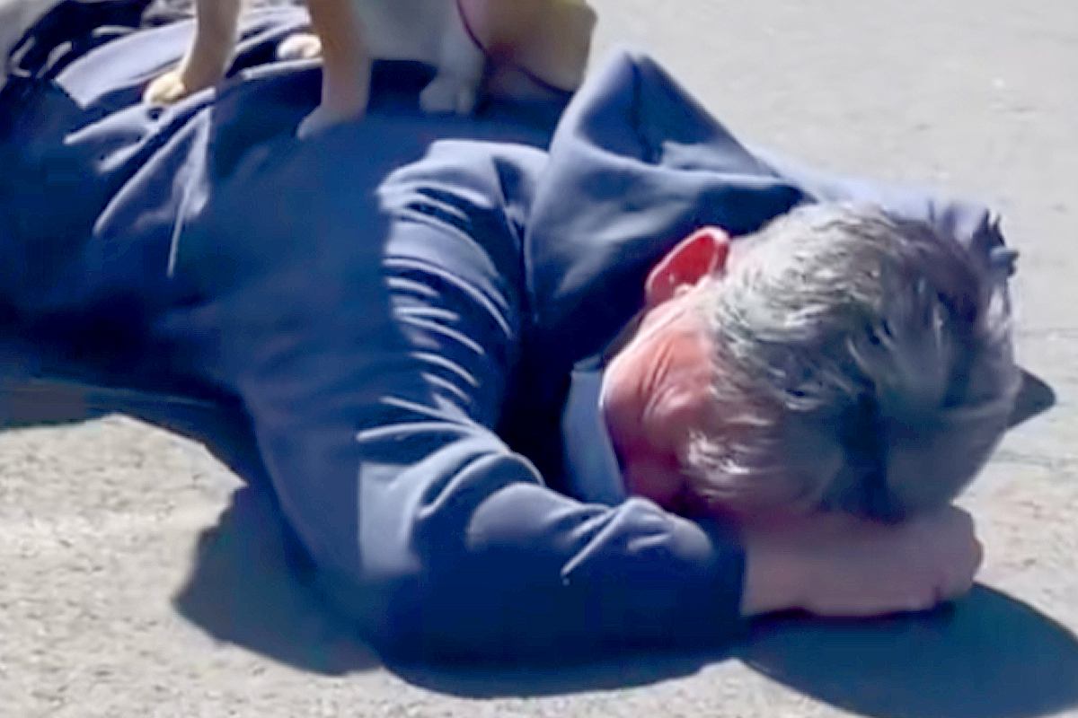 犬のリードが手から外れ、父が見事『ダイビングキャッチした』と思ったら…想定外な『まさかの光景』が29万再生「嬉しそうで草」「安全地帯ｗ」