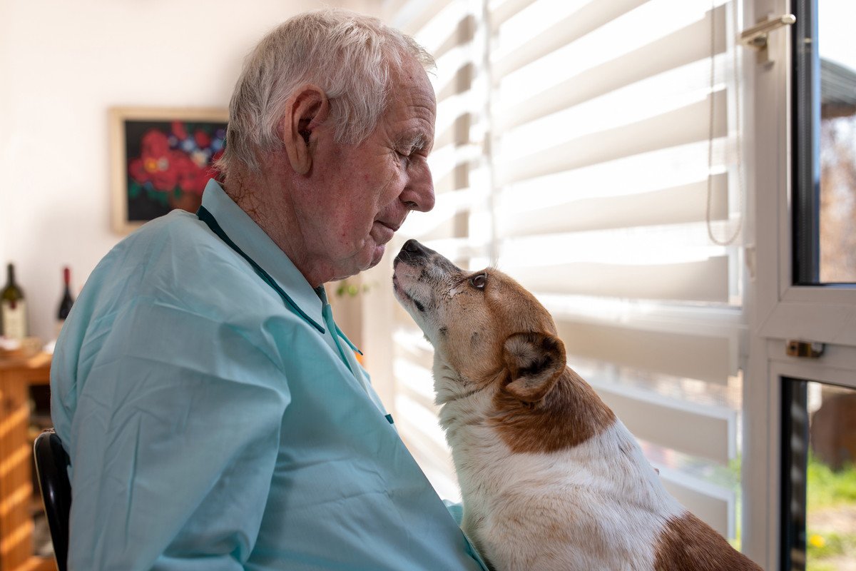 なぜ犬を捨てる人がいるの？　飼育放棄の原因となる6つの理由に「本当によく考えてほしい」「お迎え前に知っておくべき」