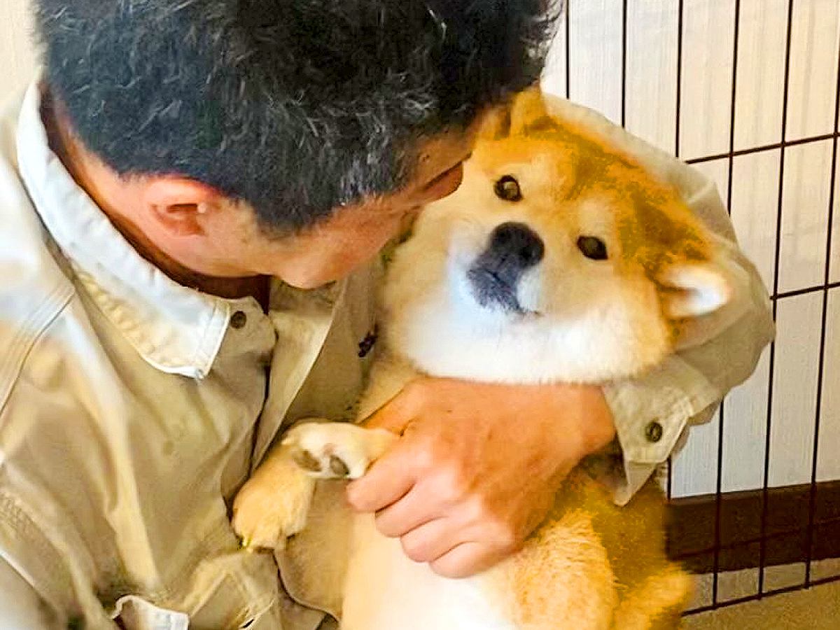 犬が『2日間出張に出かけるお父さん』へお見送りすると思いきや…まさかの光景がホッコリすると263万再生「そっちかーいｗ」「逆で草」