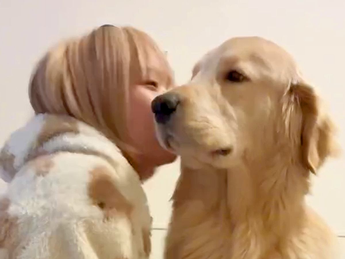 一緒に暮らす大型犬に『突然ちゅーをしてみた』結果…平和な世界すぎる『愛おしい反応』が91万再生「幸せ時間すぎ」「彼氏より彼氏」と絶賛