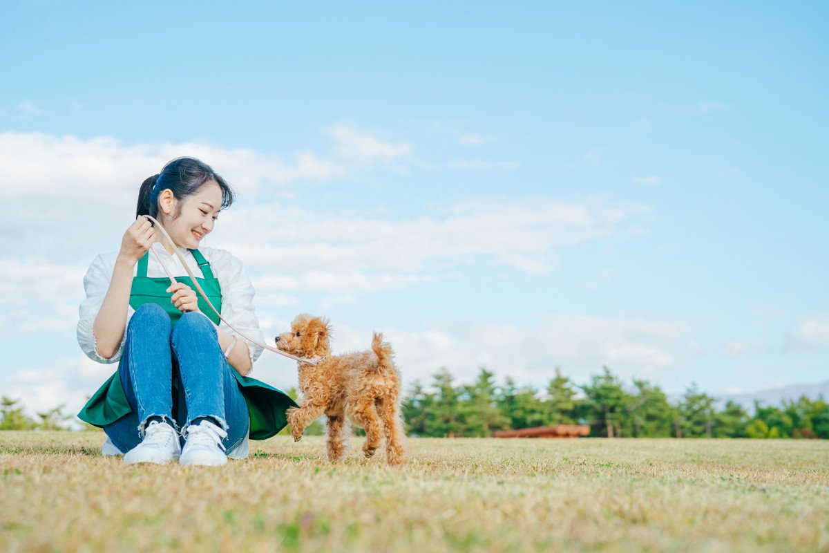 犬好きな人が一度は憧れる職業10つ　 主な仕事内容から過酷とされるポイントまでご紹介