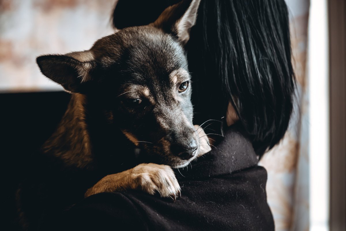 『飼い主のストレス』は犬にも伝わるの？そう言われている理由や愛犬への精神的負担まで