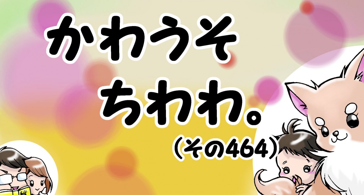 かわうそちわわ。【その464】「散歩と言う名のダイエット」