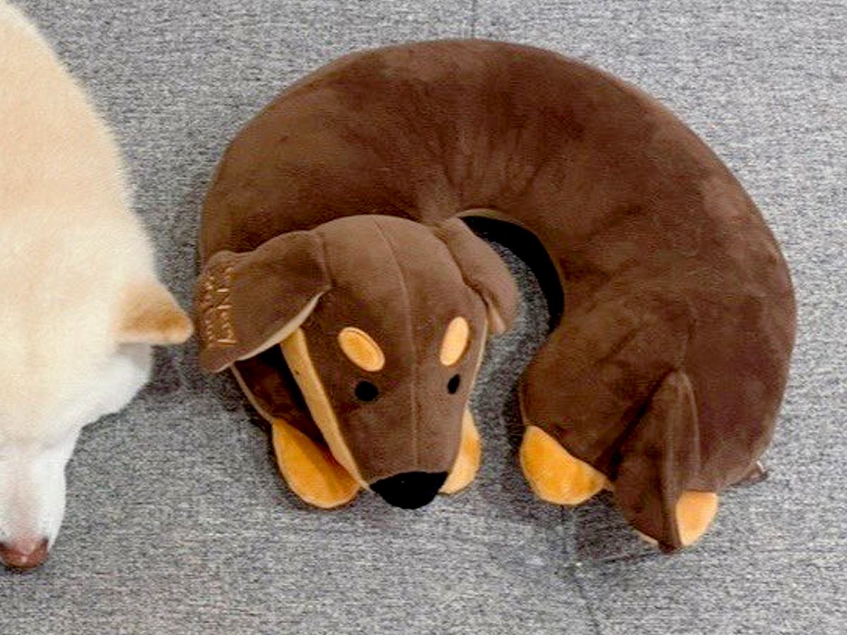 犬型のネックピローをゲット→犬が近くで寝ていると思ったら…まさかの『寄り添って真似をする光景』に4万いいね「ポーズが完璧すぎる」の声