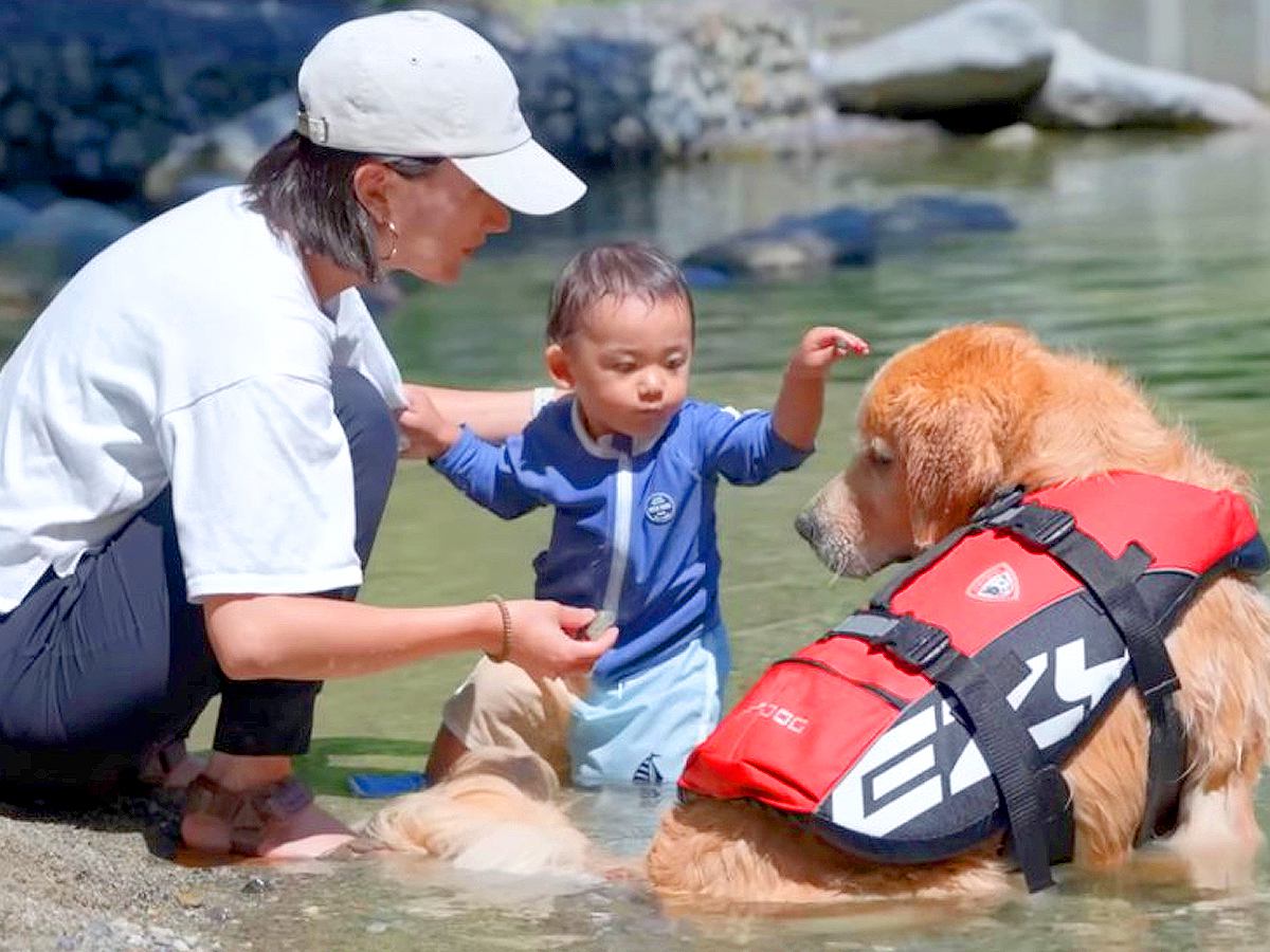 犬と赤ちゃんが『一緒に水遊びをした』結果…一気に打ち解け『意気投合』する光景が15万再生「理想の家族」「永遠に見てられる」と悶絶の声